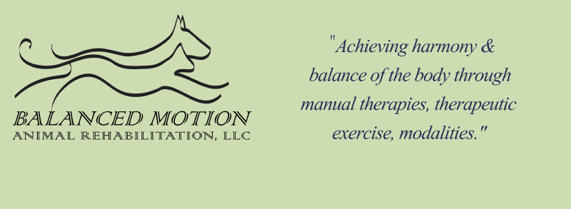 balancedmotionanimalrehabrepairsa001005.gif