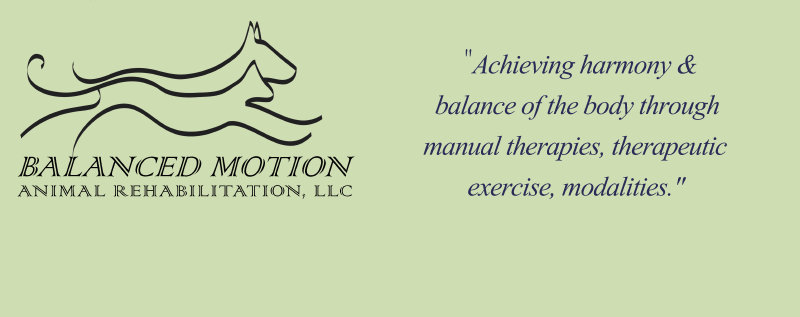 balancedmotionanimalrehabrepairsa003006.jpg
